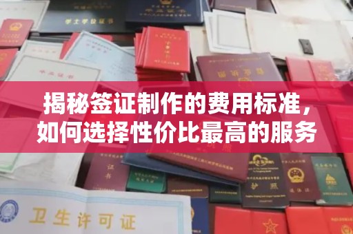 温泉揭秘签证制作的费用标准，如何选择性价比最高的服务？