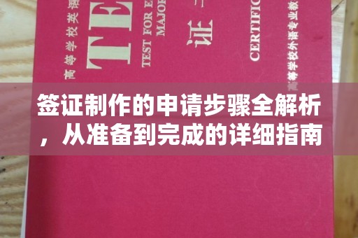 温泉签证制作的申请步骤全解析，从准备到完成的详细指南