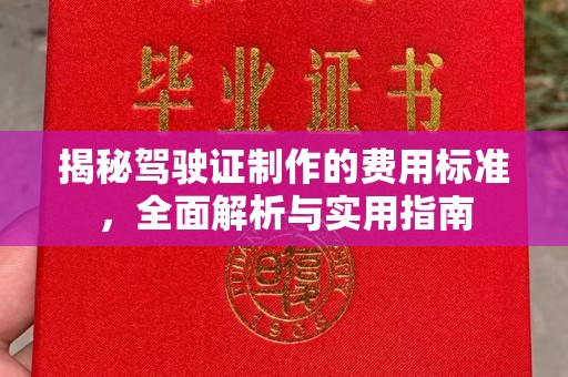 温泉揭秘驾驶证制作的费用标准，全面解析与实用指南