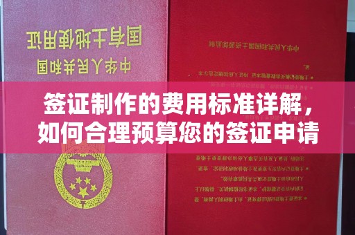 温泉签证制作的费用标准详解，如何合理预算您的签证申请成本
