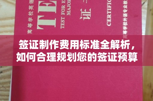 温泉签证制作费用标准全解析，如何合理规划您的签证预算？