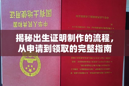 温泉揭秘出生证明制作的流程，从申请到领取的完整指南